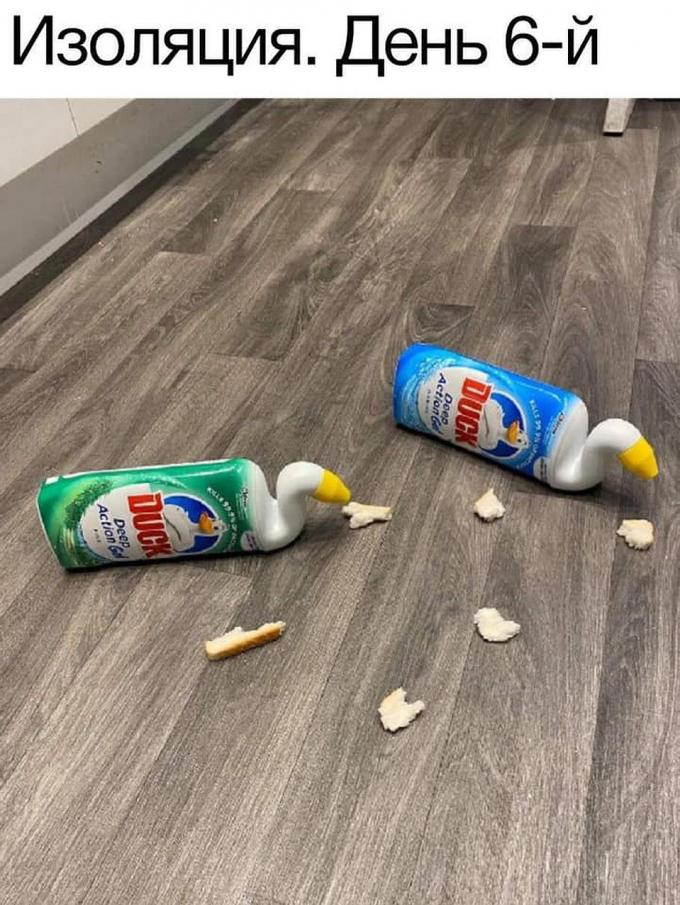 15 мемов про карантин и самоизоляцию