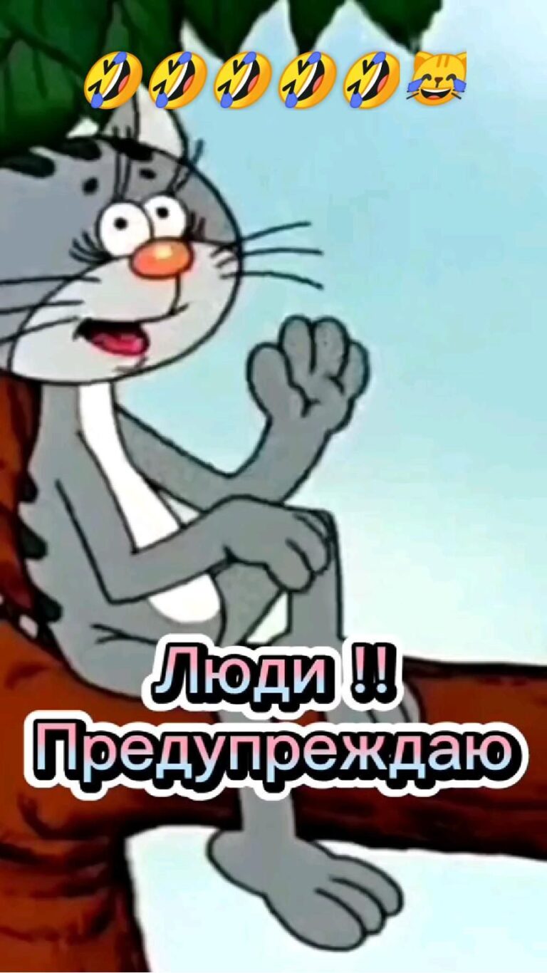 🤣🤣🤣🤣🤣 😹