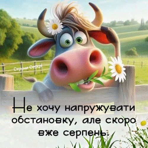 гумор