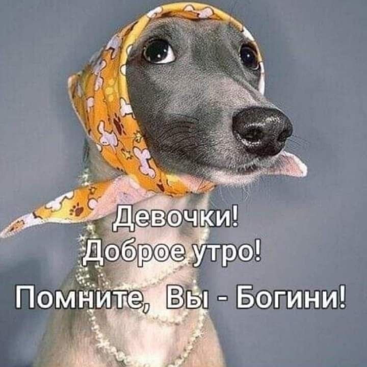 Доброе утро