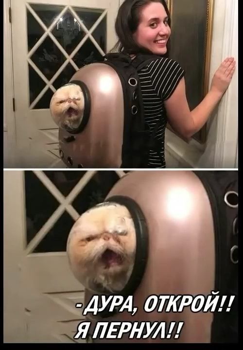 ДУРА, ОТКРОЙ! – АйДаПрикол