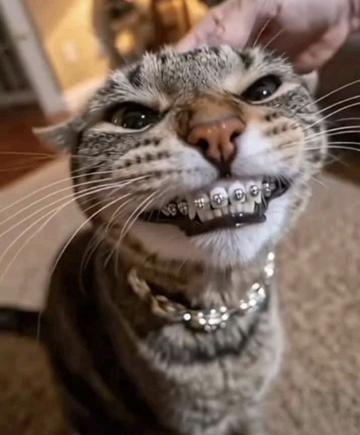 braket isdeyirim mende ama nece duracaq baxda basa dusmek cetin deilde yaniii