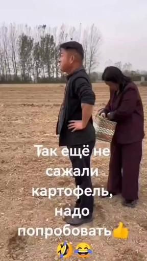 Так ещё не сажали картофель…