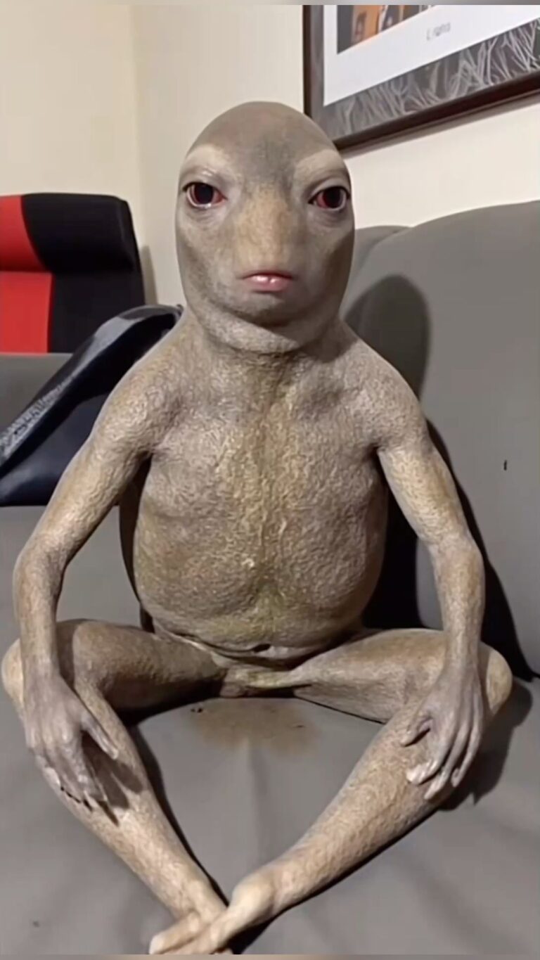 #pov vete a robar al p**** fuencarral