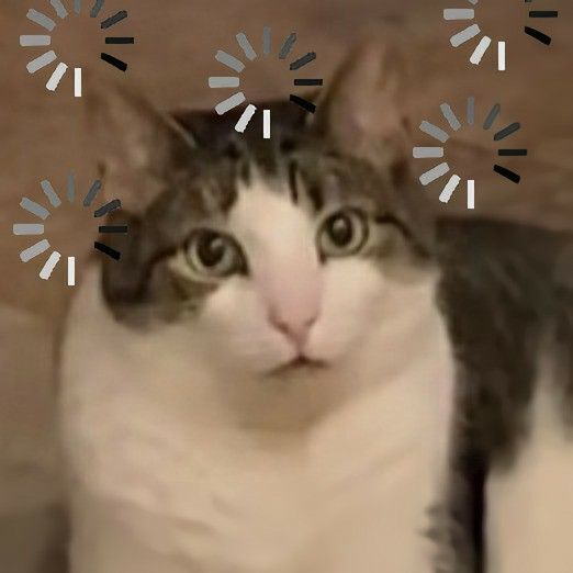 sticker para whatsapp | memes