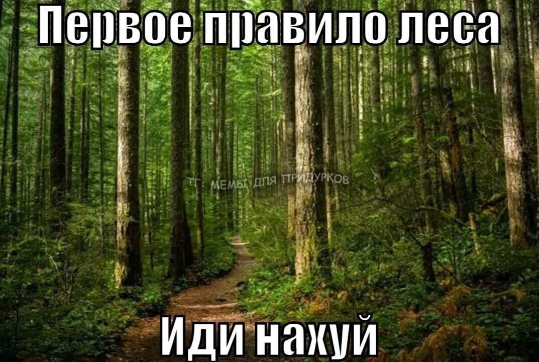 тг: мемы для придурков