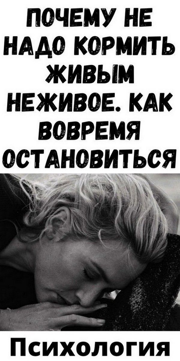 Почему не надо кормить живым неживое. Как вовремя остановиться | Магия Жизни