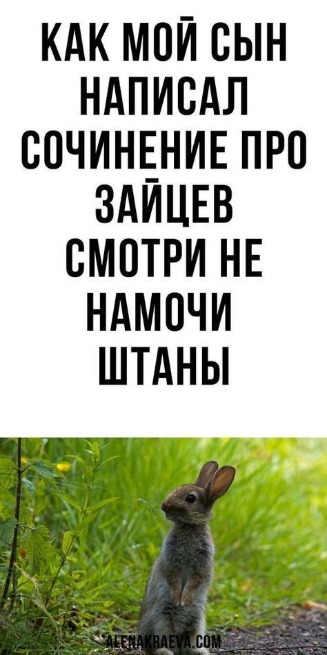 юмор очень смешно 237