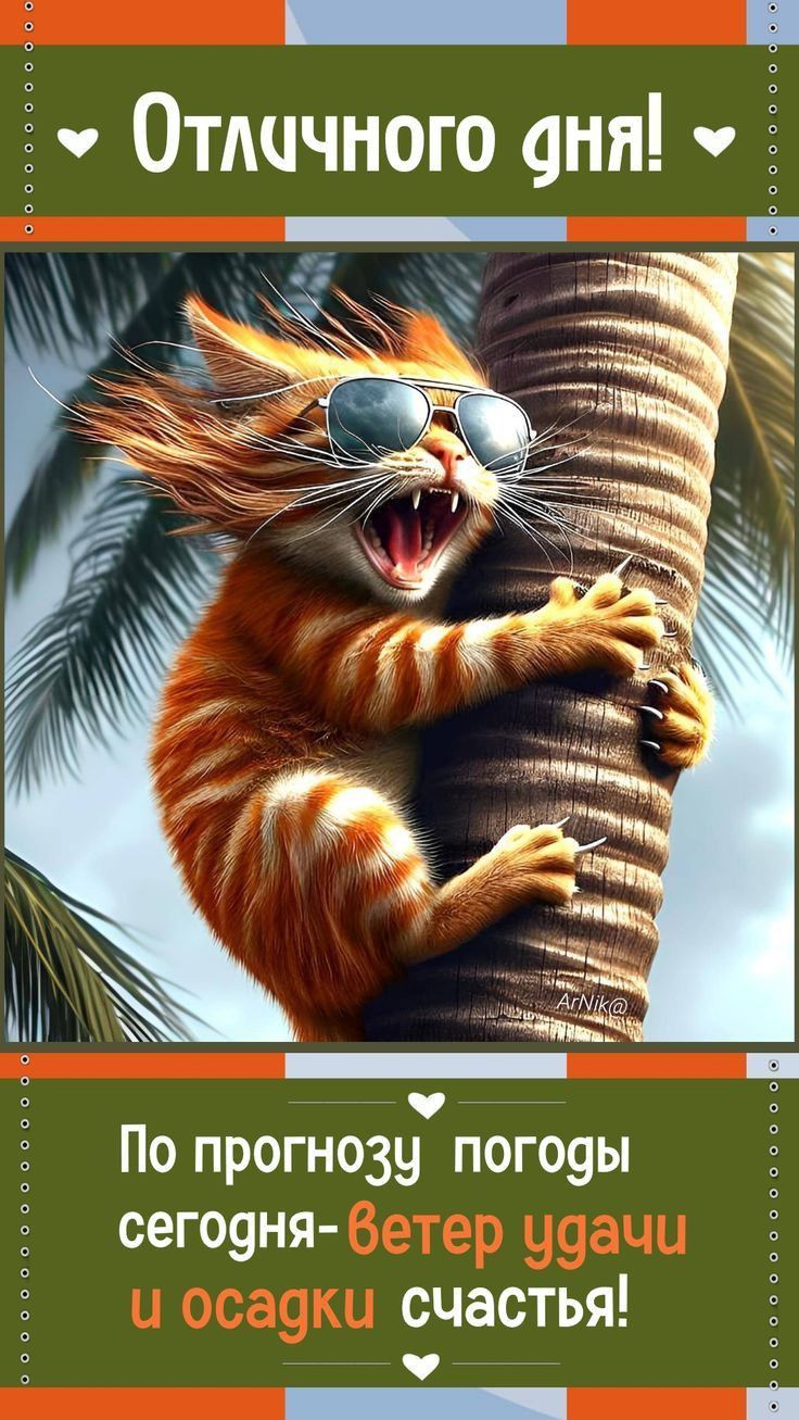 Отличного дня! ❤️ Have a great day!