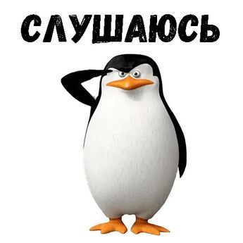 Набор стикеров для Telegram «Пингвин»