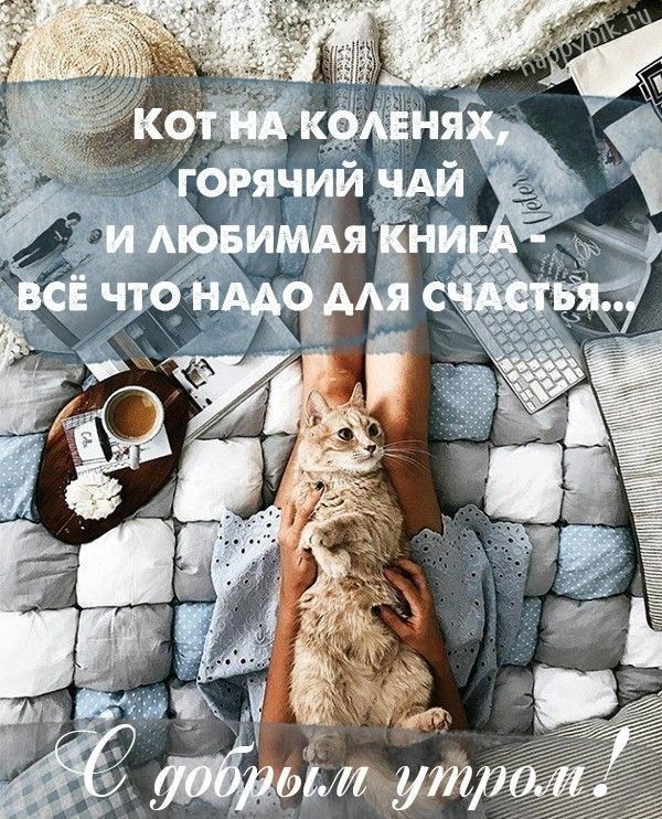 Доброе утро