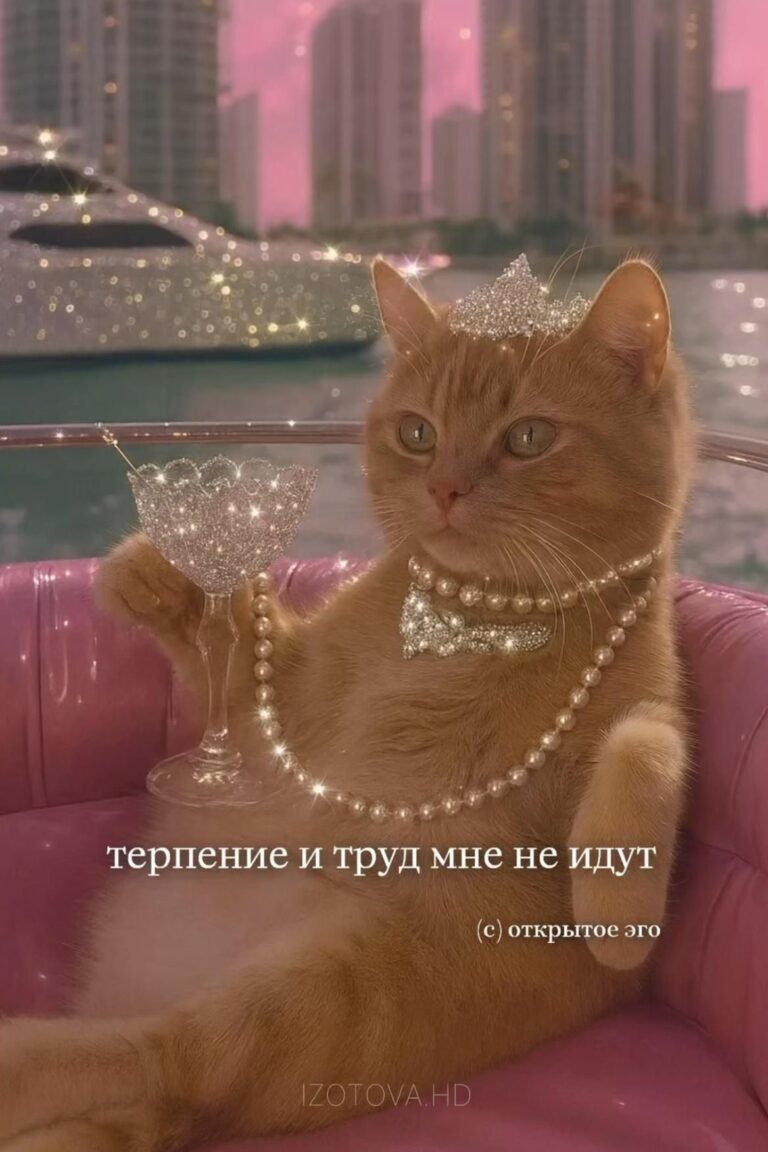 ОТКРЫТОЕ ЭГО ДИЗАЙН ЧЕЛОВЕКА Human Design