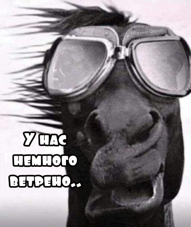 У нас немного ветренно