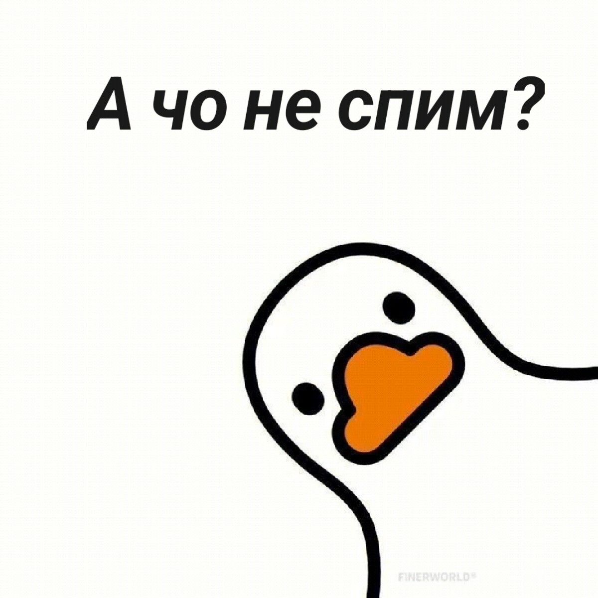 А чо не спим?