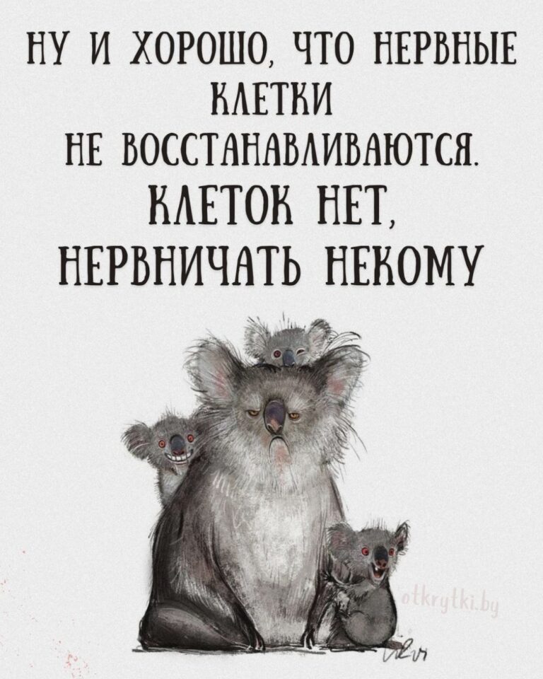 Смешные картинки ПРО НЕРВЫ с юмором и сарказмом