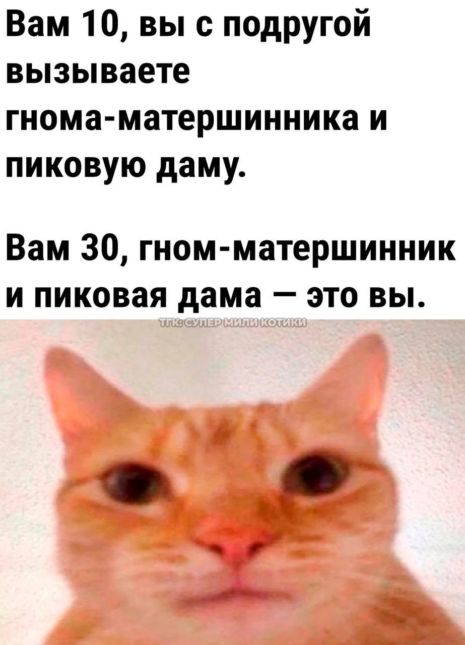 тгк: супер мили котики