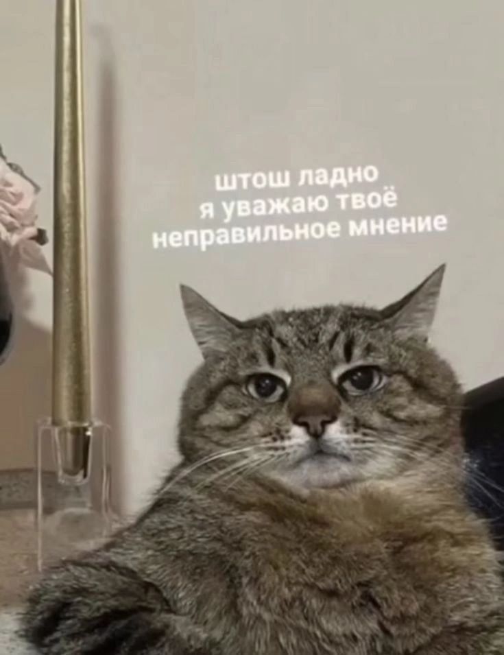 я сохраняю мемы и радуюсь жизни. Пост со стены.