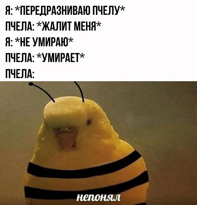 Жиза » Пикчи!. Пост со стены.