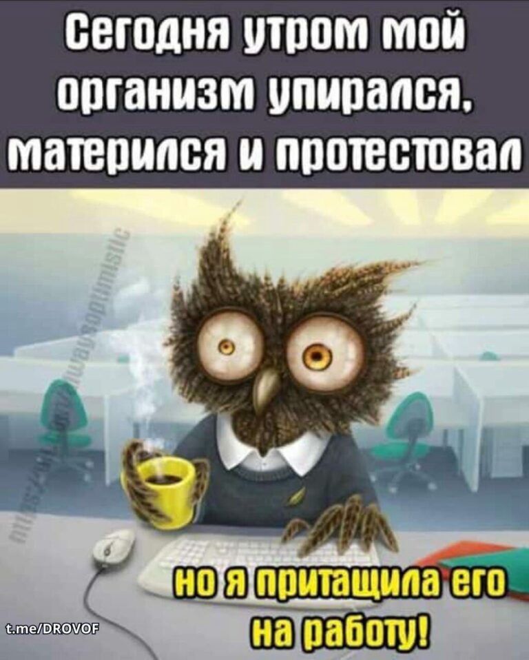 Женский юмор