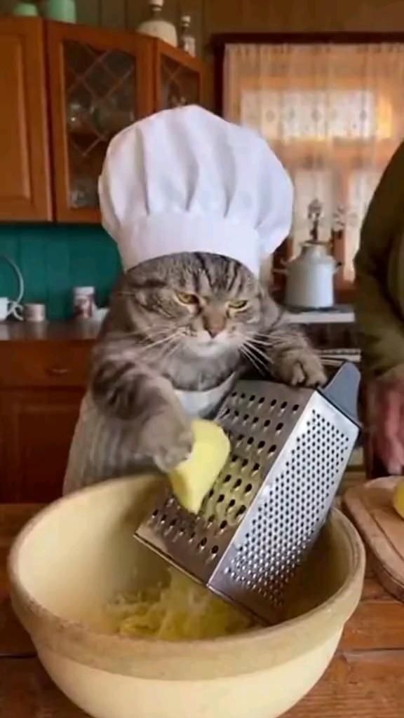 Драники по котовски 💛