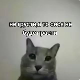 Не грусти, а то сися не будет расти.