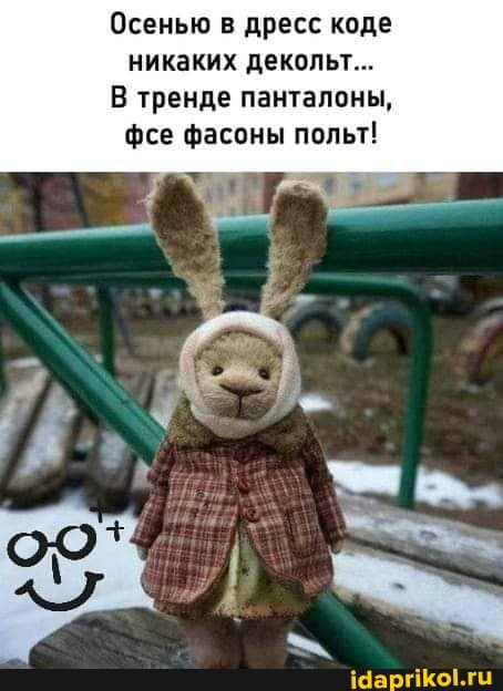 Осенью в дресс коде никаких декольт… В тренде панталоны, фсе фасоны польт! – АйДаПрикол