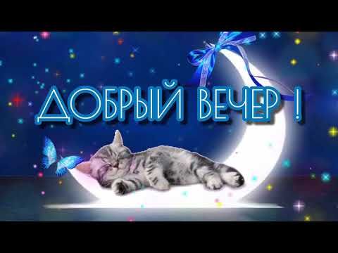 Добрый вечер! Милое пожелание доброго вечера и спокойной ночи.
