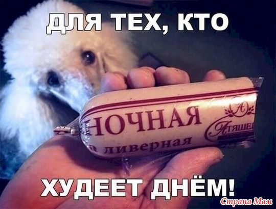 Про еду и про диету. 28