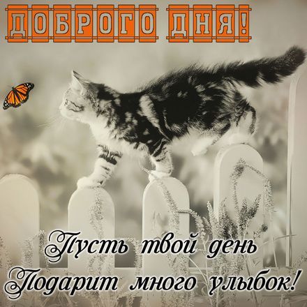 Анимация с хорошим днем мужчине, парню и хорошего настроения!