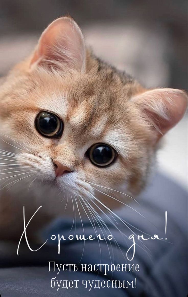 хорошего дня 😌😌😌