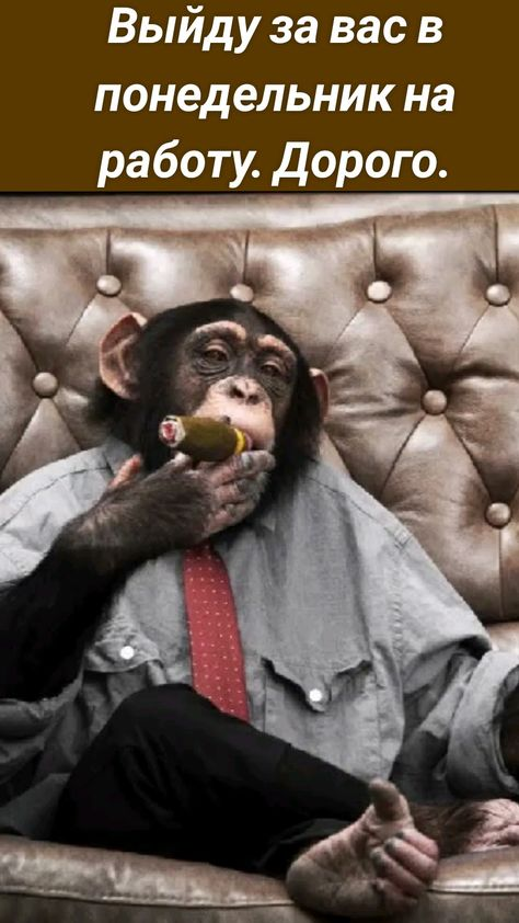 Рамблер/почта – надежная и бесплатная электронная почта, создать электронную почту с защитой от спама и вирусов