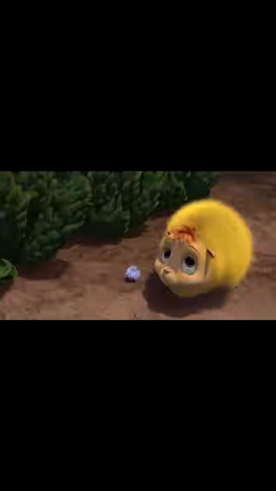 только пони🤣