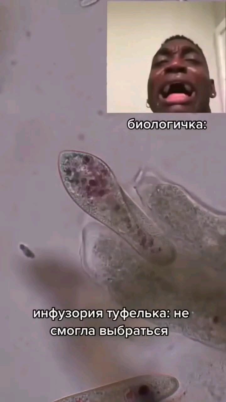 ну база🤌🏻