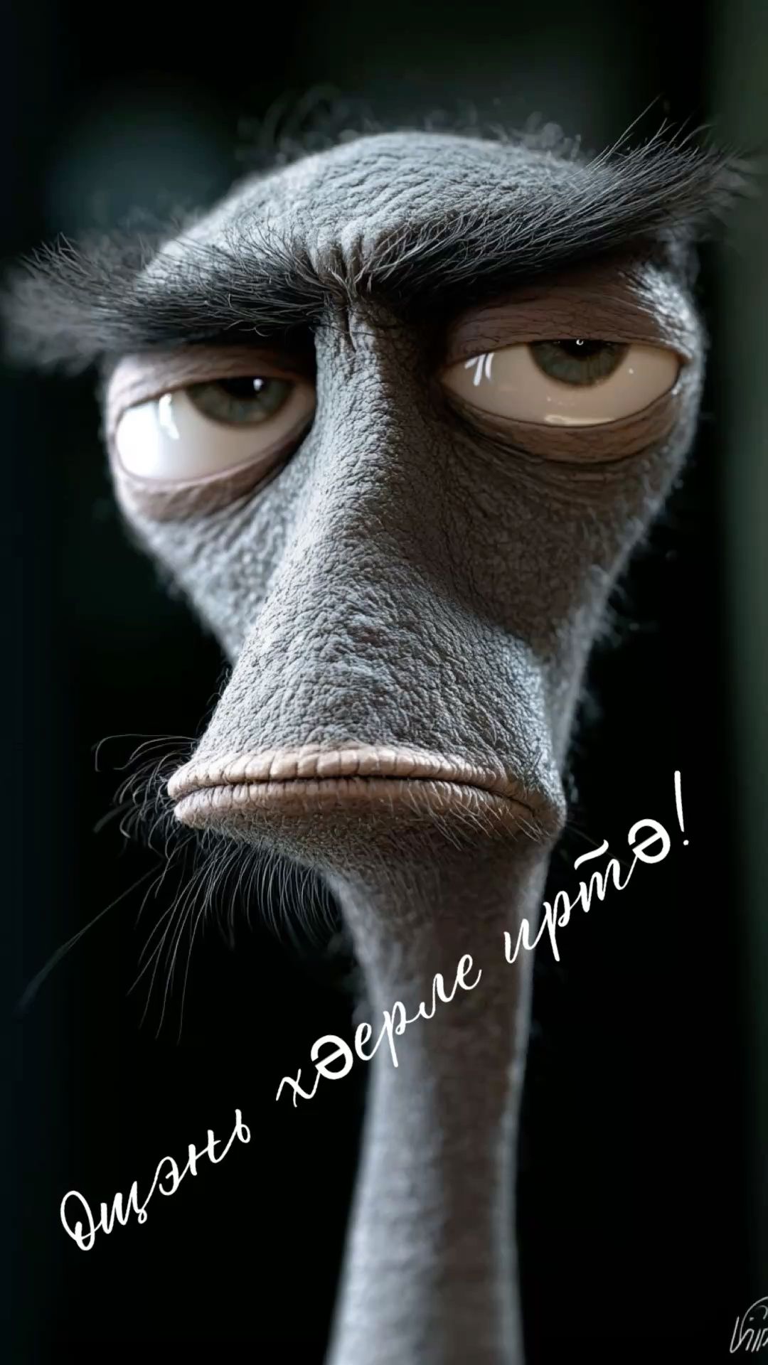 Татарская открытка 🌹 Татарский юмор