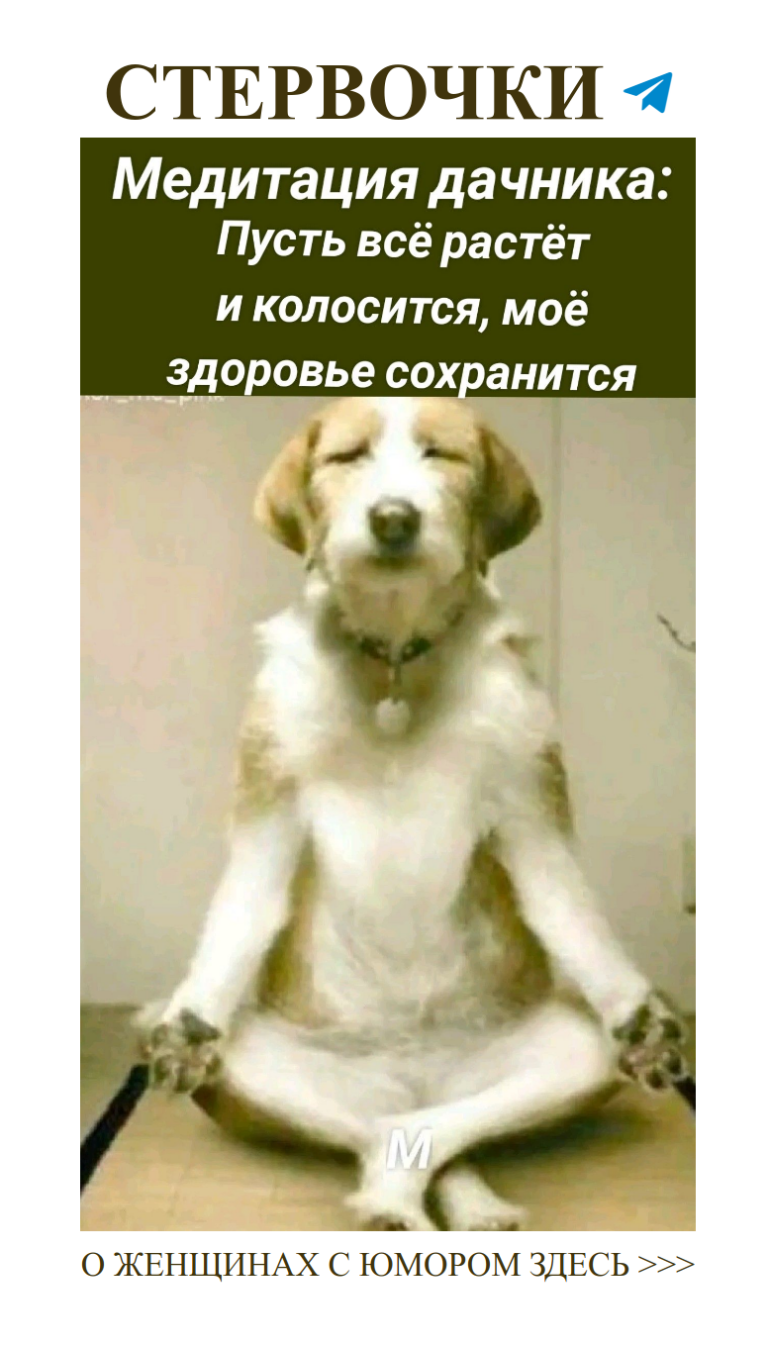 Смех и любовь: как не потерять себя в отношениях