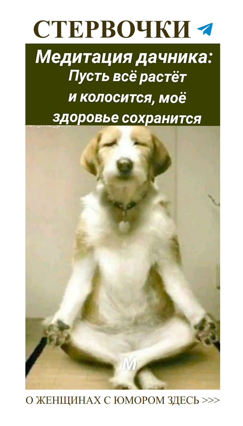 Смех и любовь: как не потерять себя в отношениях