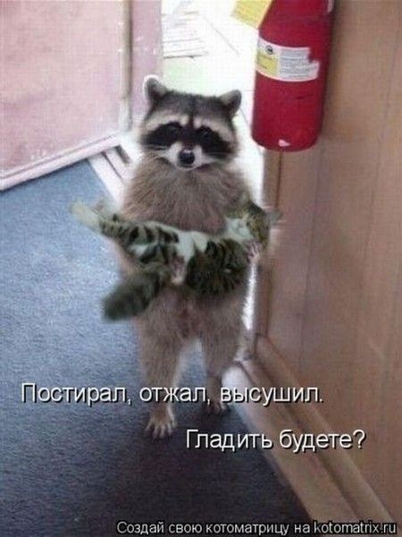 Крокодил: сентябрьский позитив. Обсуждение на LiveInternet – Российский Сервис Онлайн-Дневников