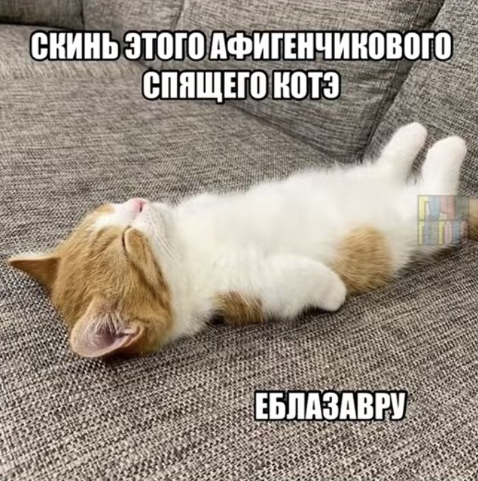 тг ГУЧИГЕНГОВО