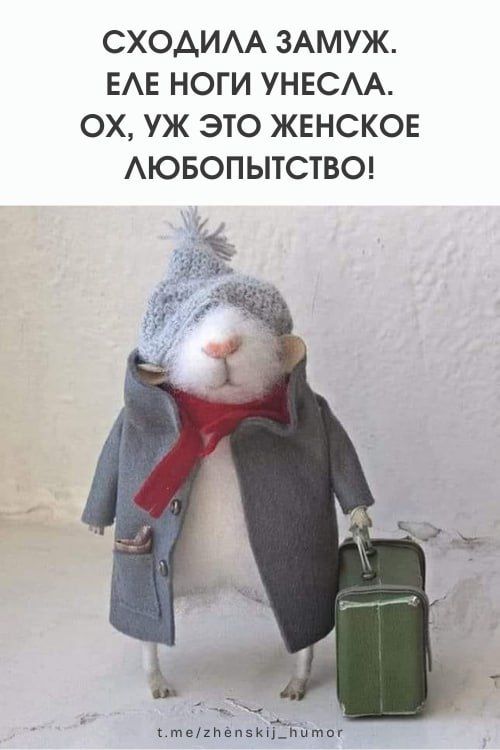 Женский юмор ❤️