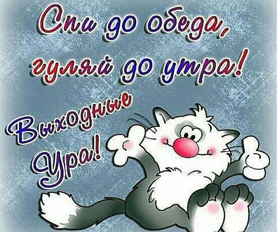 приятных выходных картинки прикольные шуточные с юмором