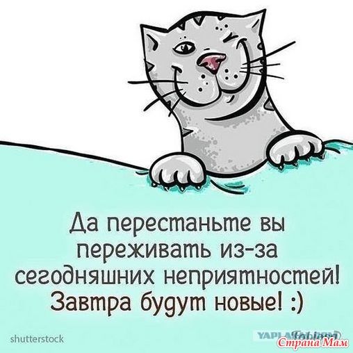 Совет дня – 13