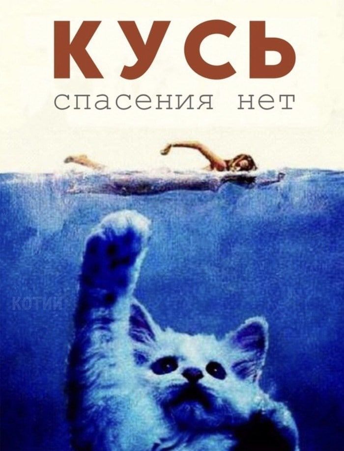 Как выглядели бы постеры популярных фильмов, если бы в них снимались котики