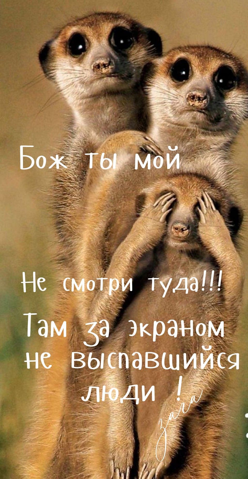 Доброе утречка Вам не выспавшийся люди.