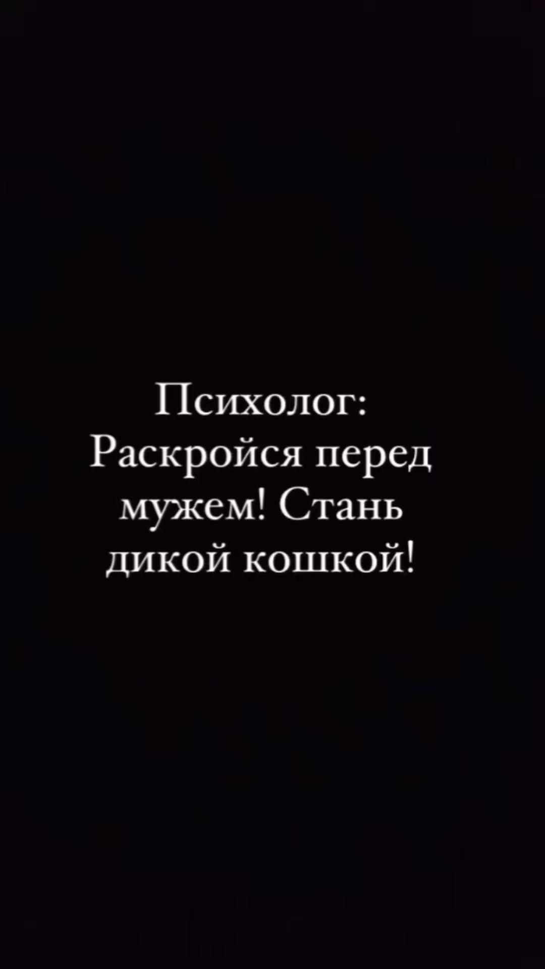 Как стать дикой кошкой🤷‍♀️