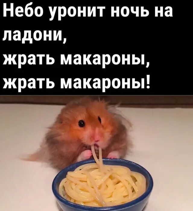 юмор, смешные картинки