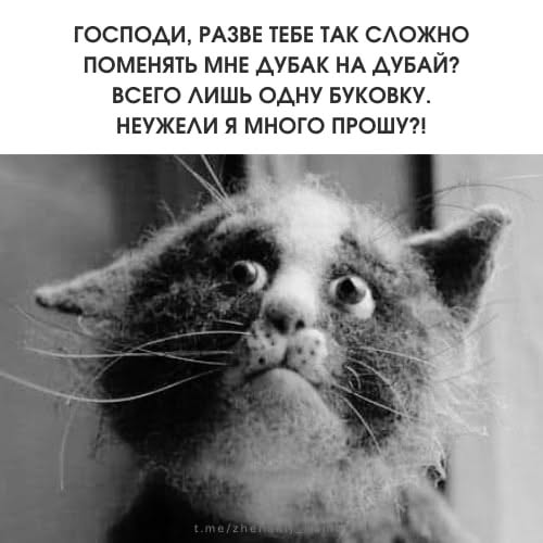 Женский юмор ❤️