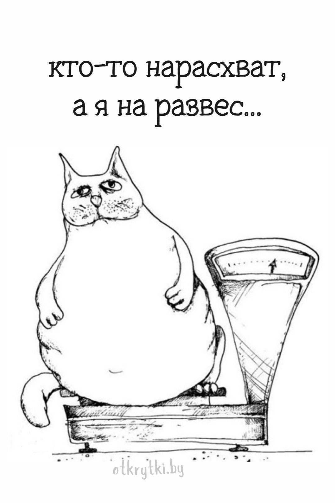 Смешные мемы и прикольные картинки про ВЕС с юмором и шутками