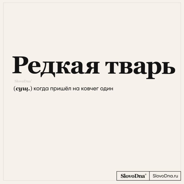 Рабочие вакансии смотри в тг 🔑