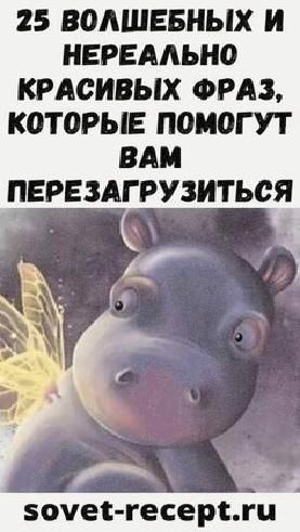 ⠀⠀⠀⠀⠀⠀⠀⠀⠀⠀