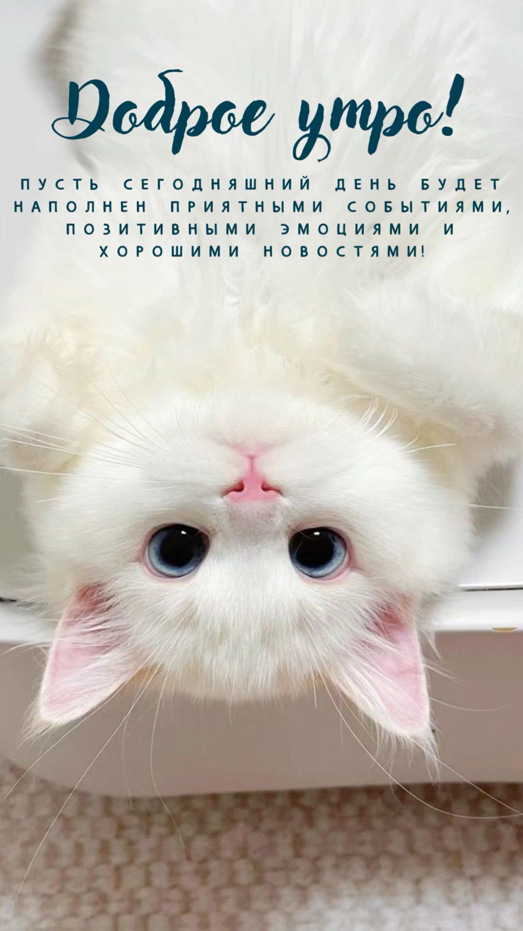 Доброе утро